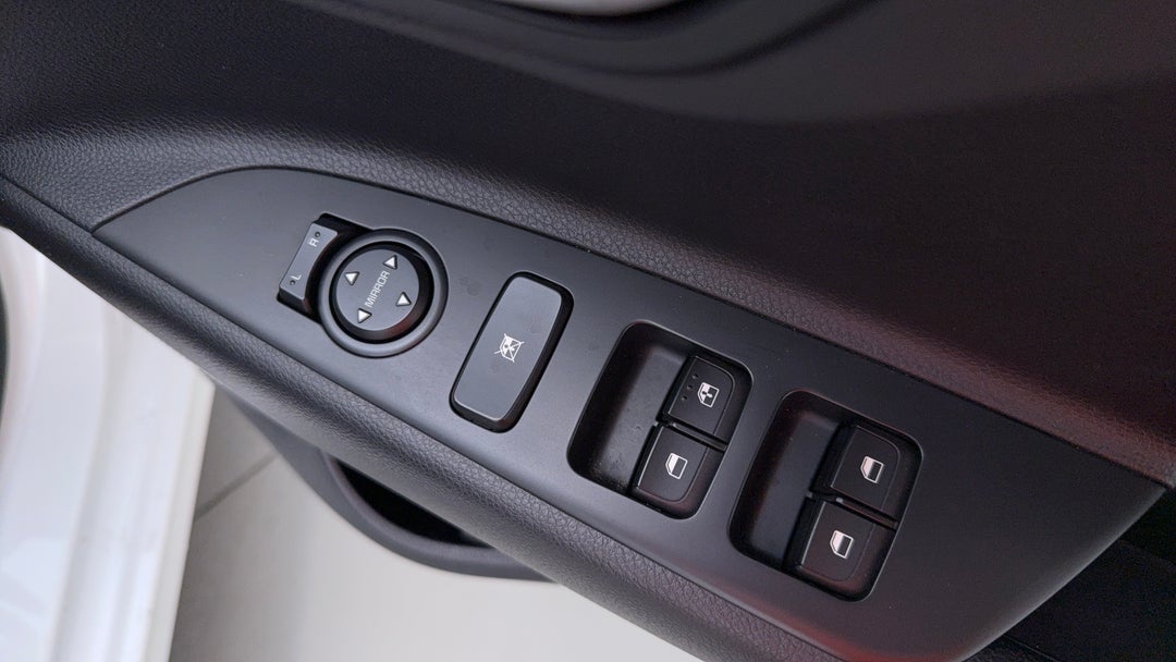 Drivers Side Door Panel Controls