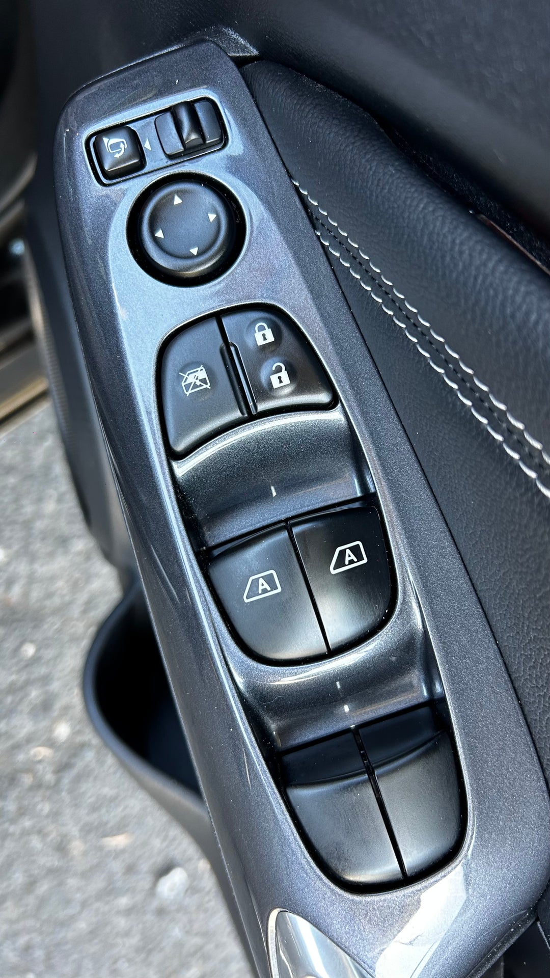 Drivers Side Door Panel Controls