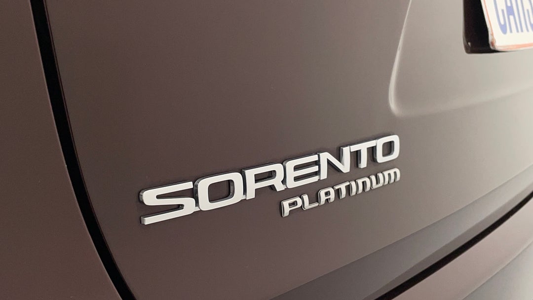 Badge (Boot Left Side)