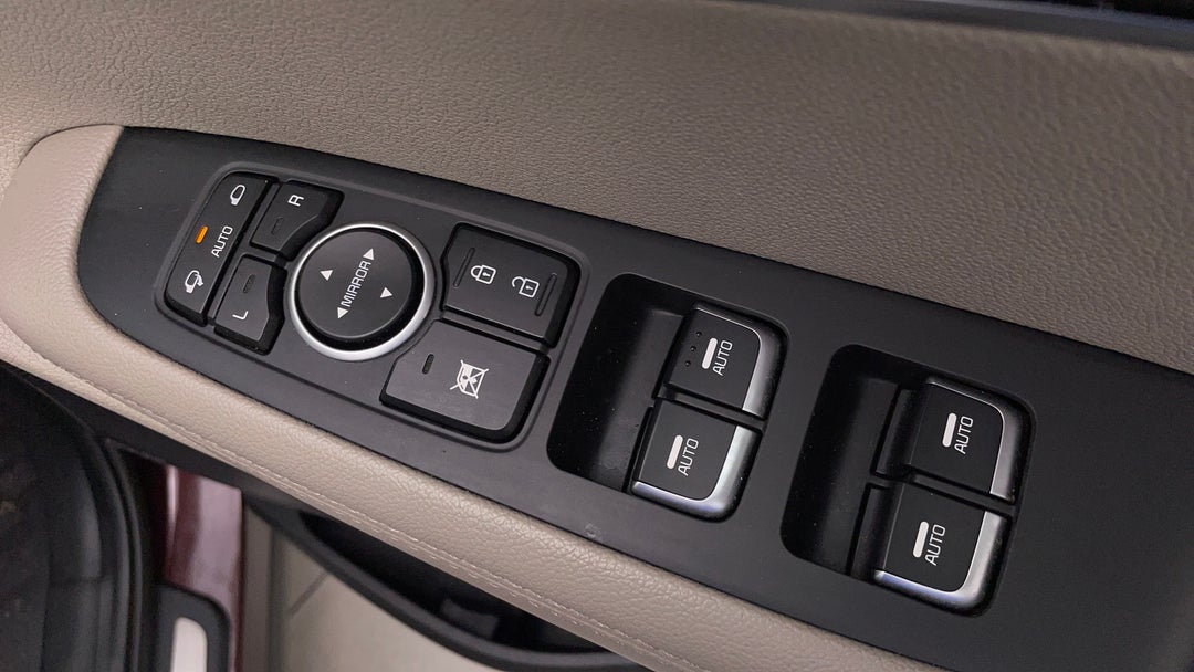 Drivers Side Door Panel Controls