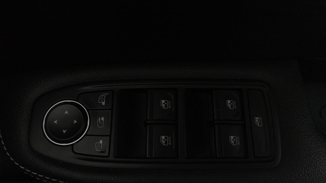 Drivers Side Door Panel Controls