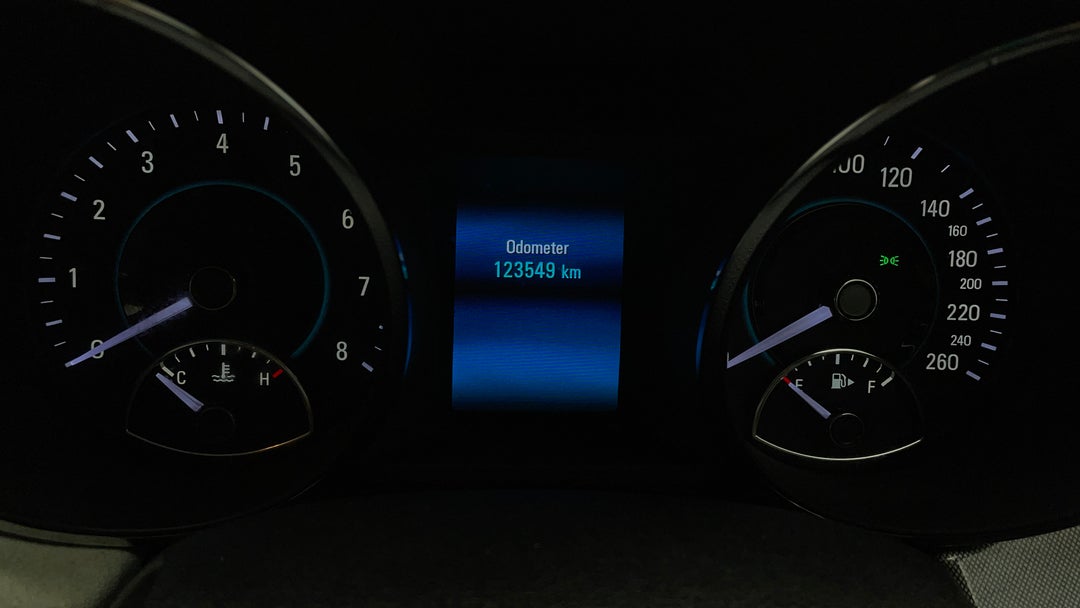 Odometer View