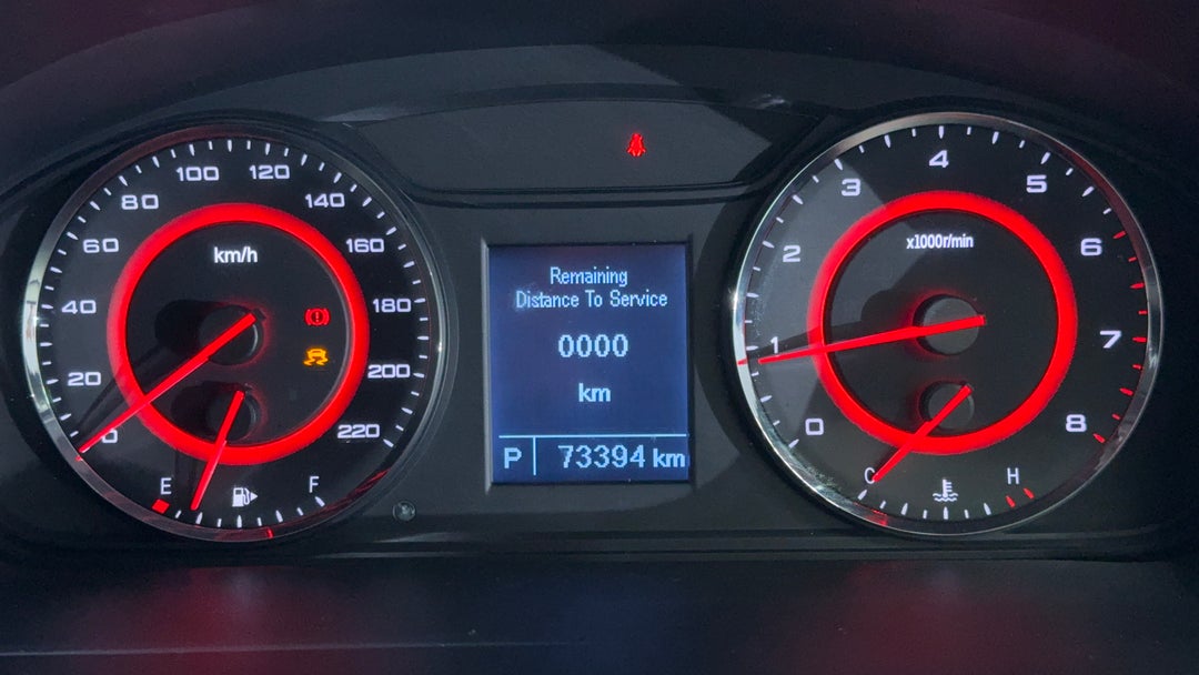 Odometer View