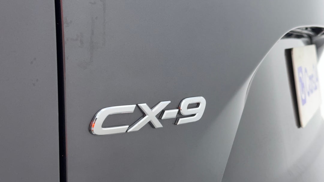 Badge (Boot Left Side)