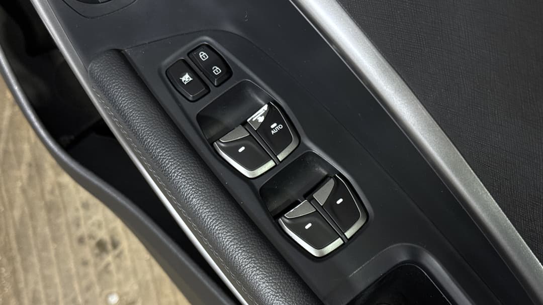 Drivers Side Door Panel Controls
