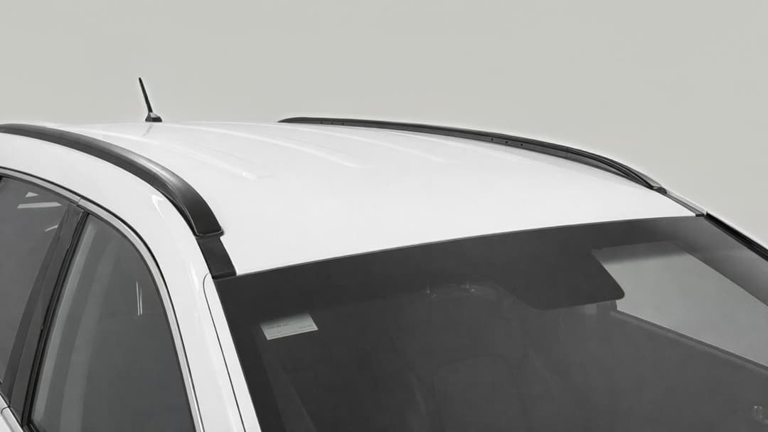 Roof/Sunroof View