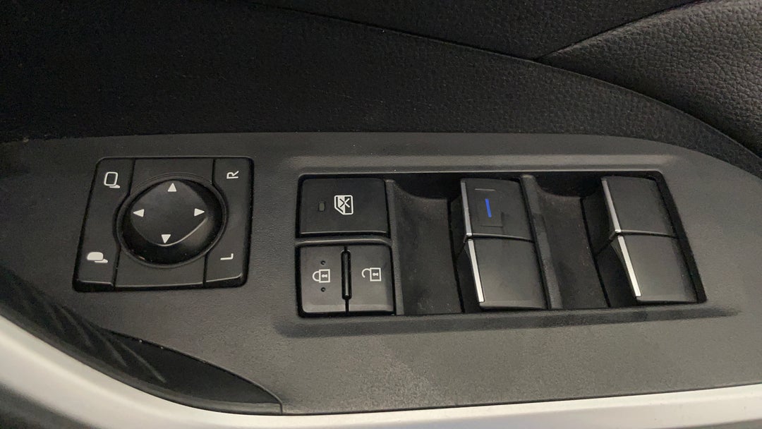 Drivers Side Door Panel Controls