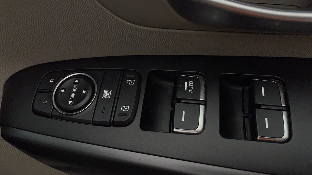 Drivers Side Door Panel Controls