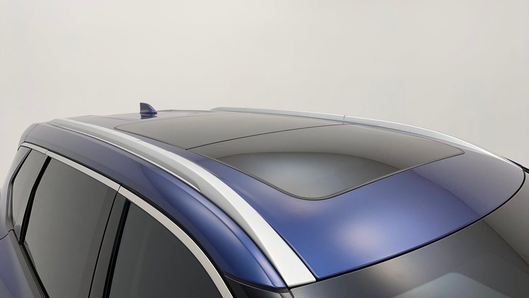 Roof/Sunroof View