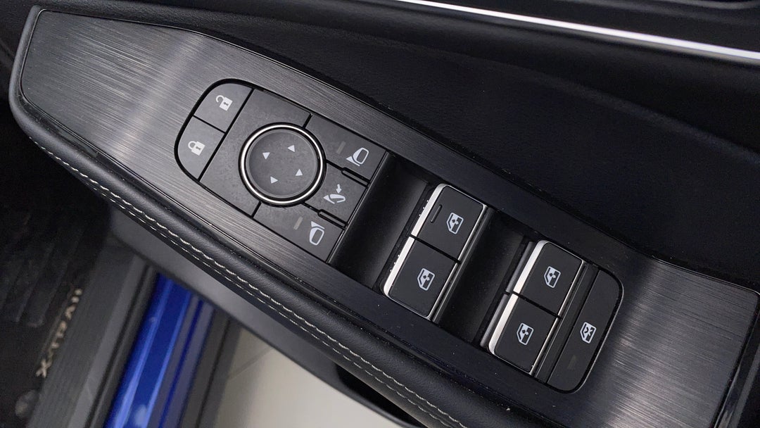 Drivers Side Door Panel Controls