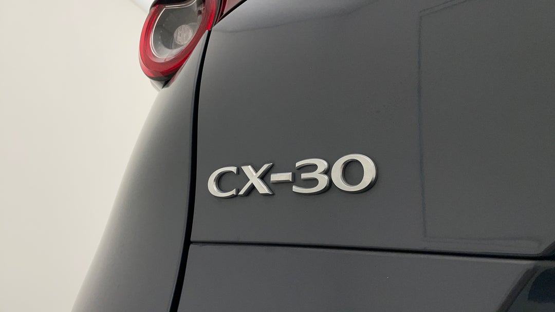 Badge (Boot Left Side)