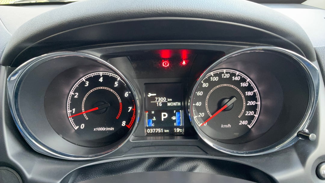 Odometer View