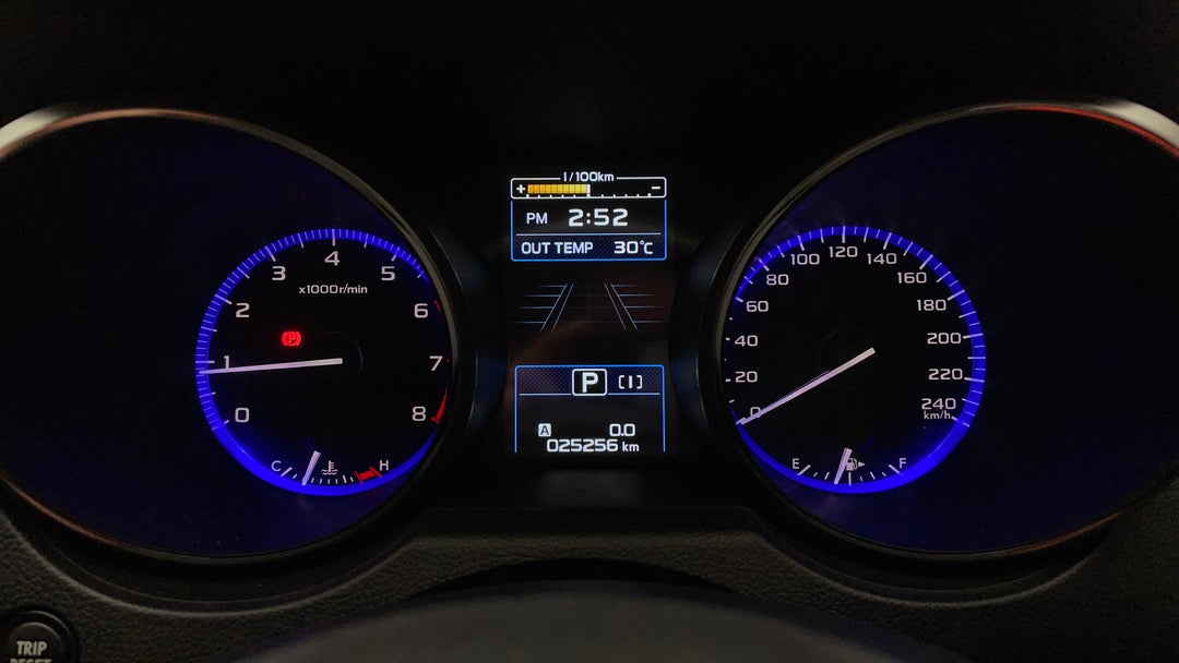 Odometer View