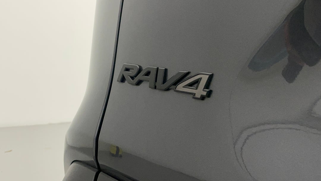 Badge (Boot Left Side)