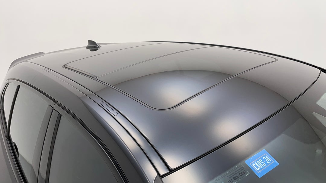 Roof/Sunroof View