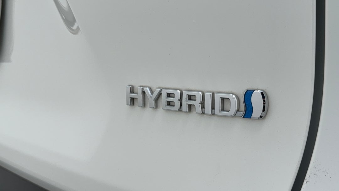 Badge (Boot Right Side)