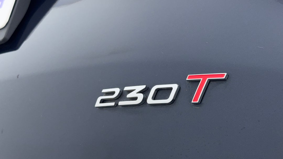 Badge (Boot Right Side)