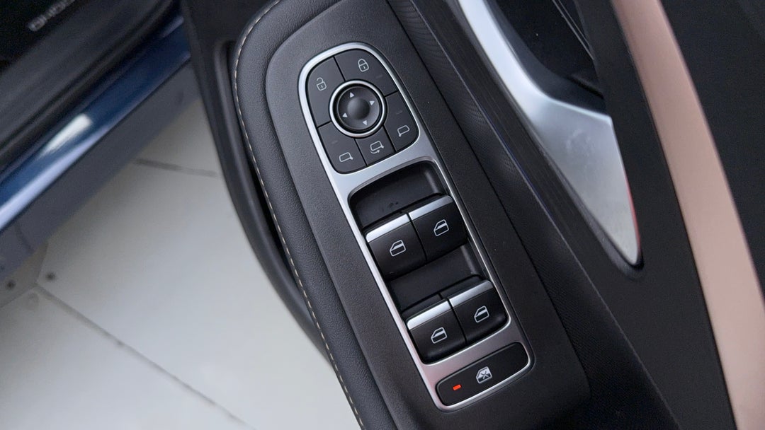 Drivers Side Door Panel Controls