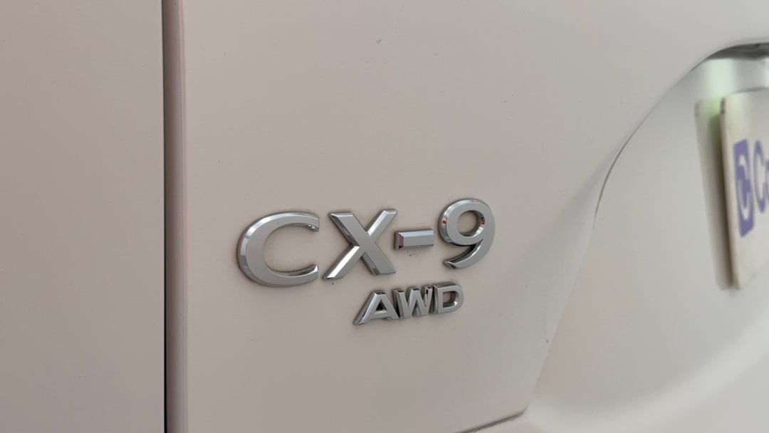 Badge (Boot Left Side)