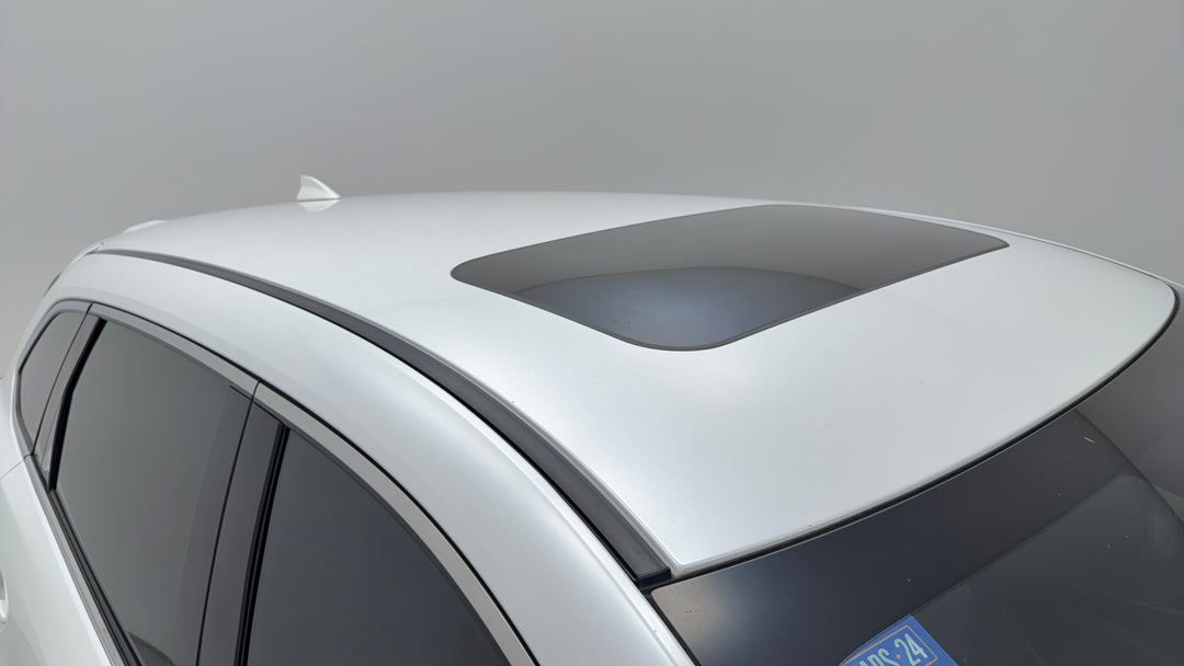 Roof/Sunroof View