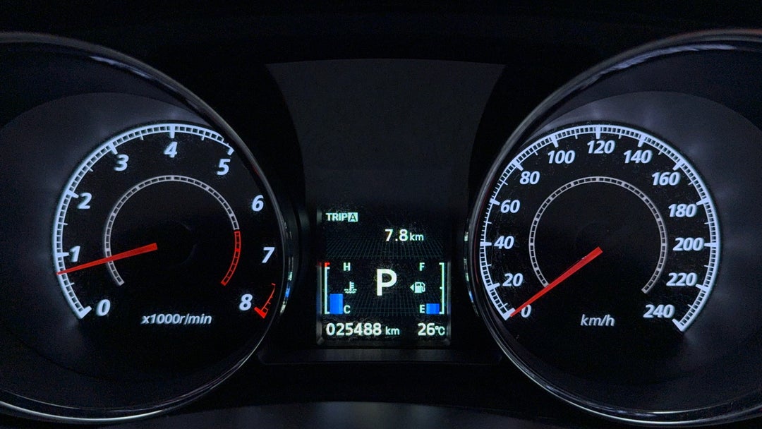 Odometer View