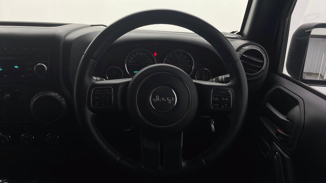 Steering Wheel Close-up