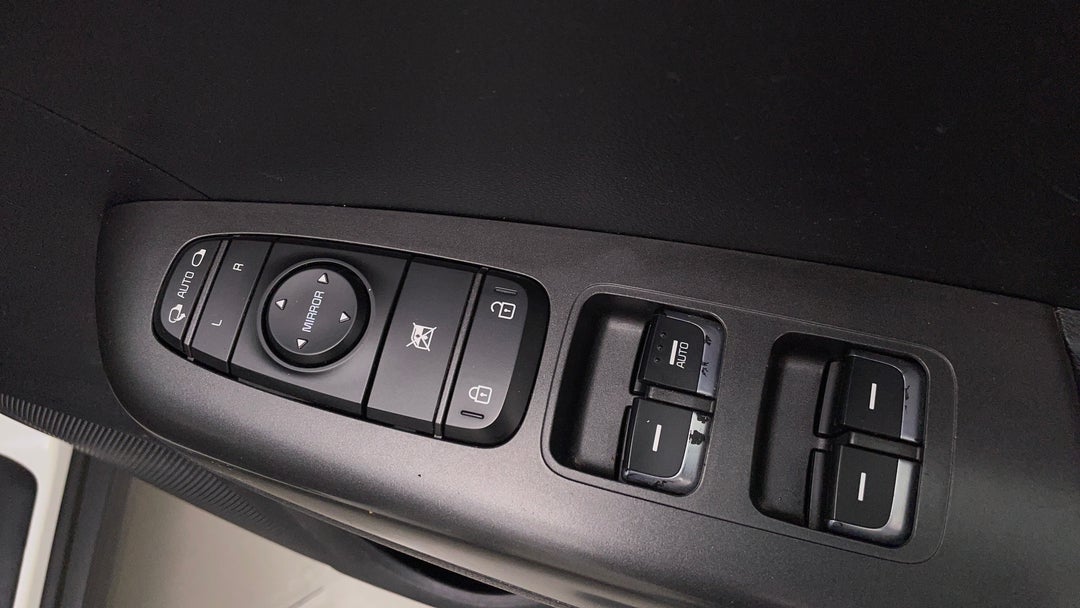 Drivers Side Door Panel Controls