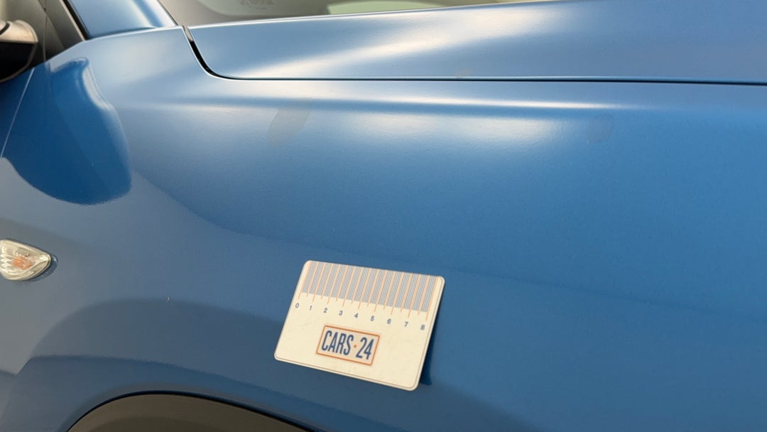 Quarter Panel Front RHS Guard Bird acid