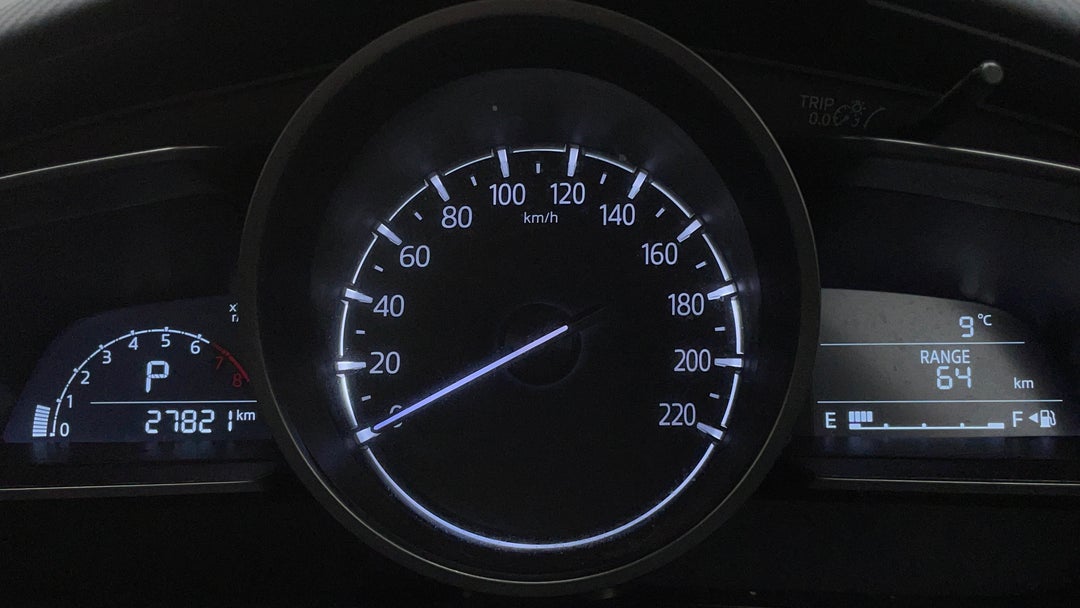 Odometer View