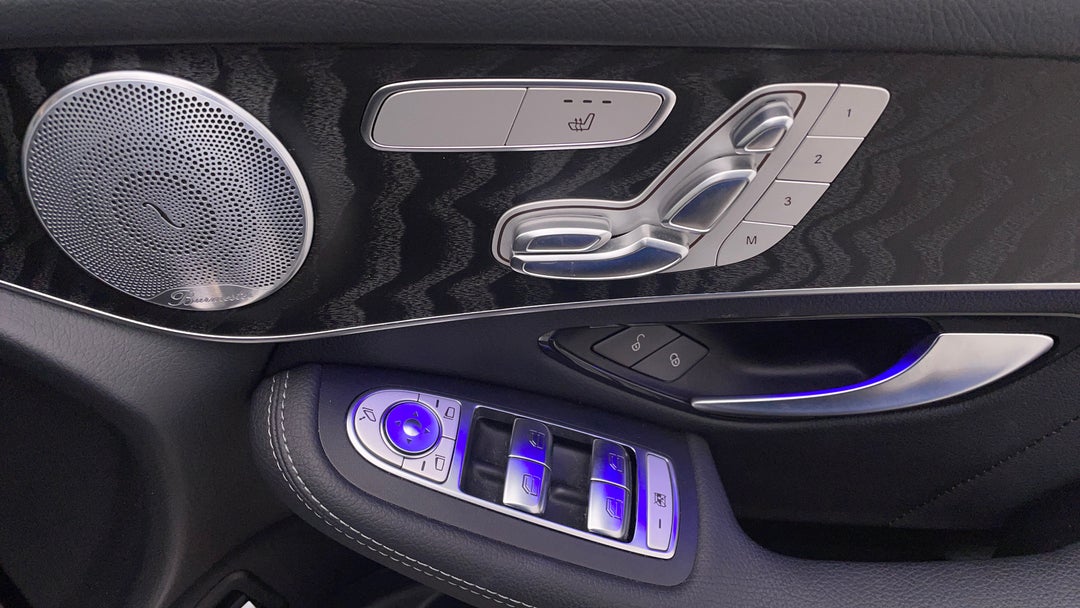 Drivers Side Door Panel Controls