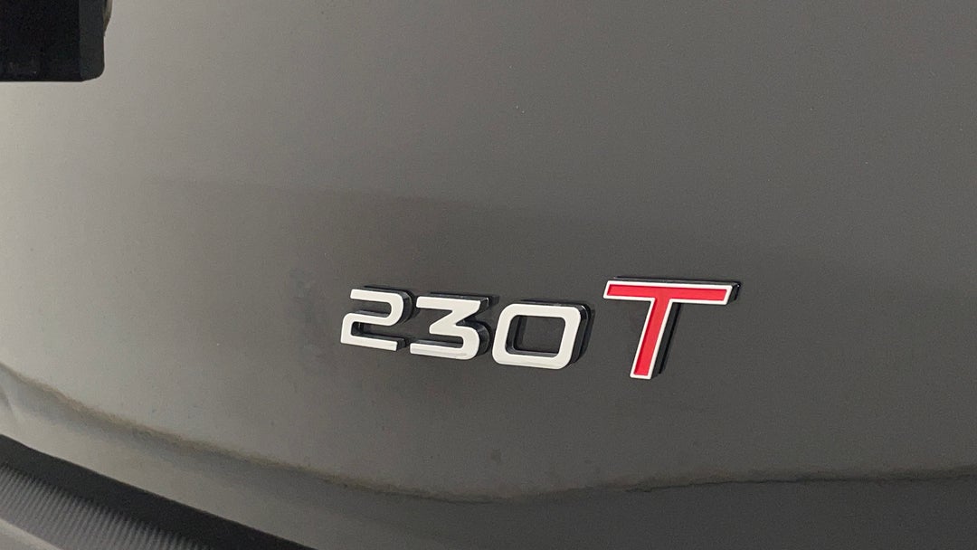 Badge (Boot Right Side)