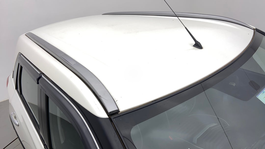Roof/Sunroof View