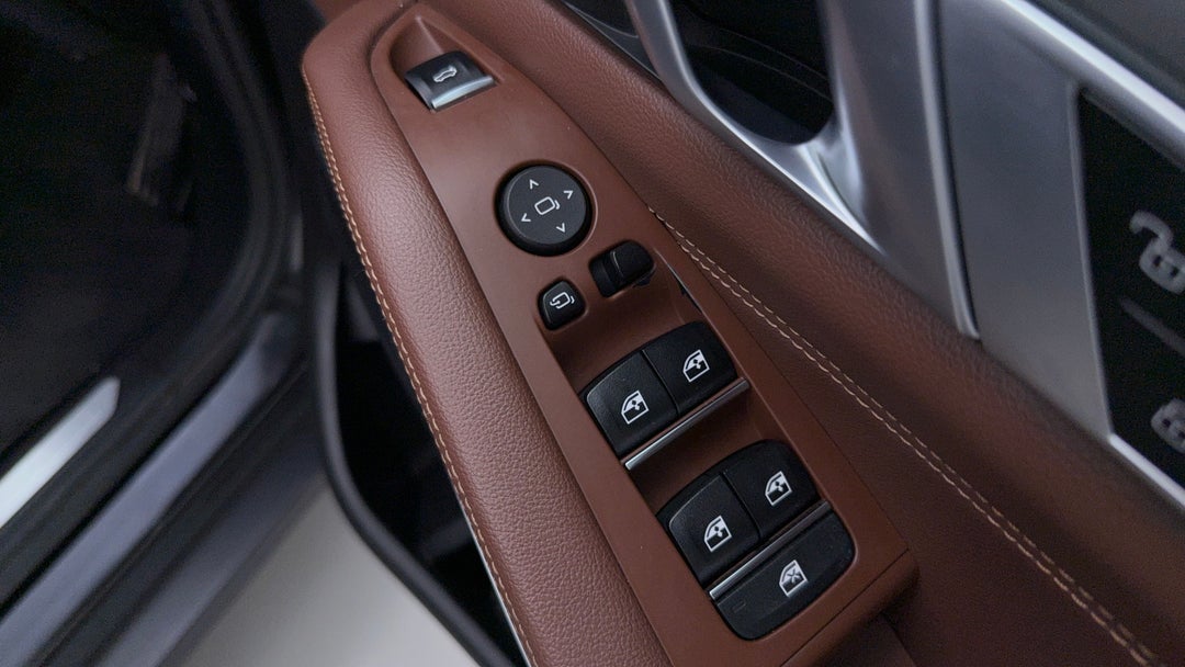 Drivers Side Door Panel Controls