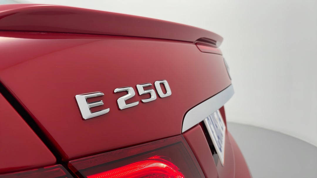 Badge (Boot Left Side)