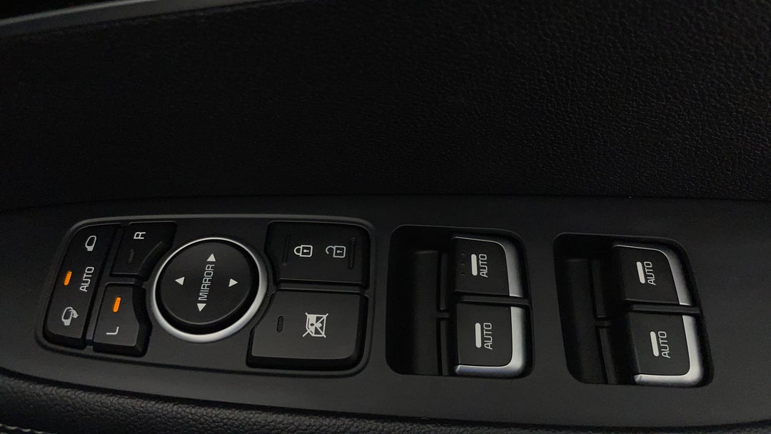 Drivers Side Door Panel Controls