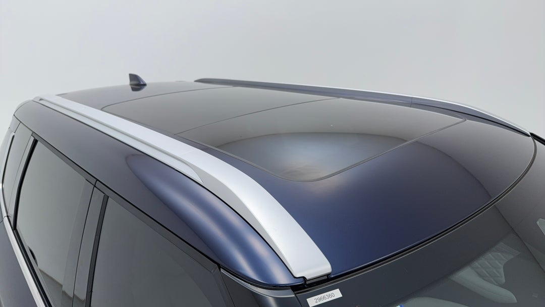 Roof/Sunroof View