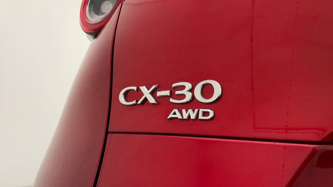 Badge (Boot Left Side)