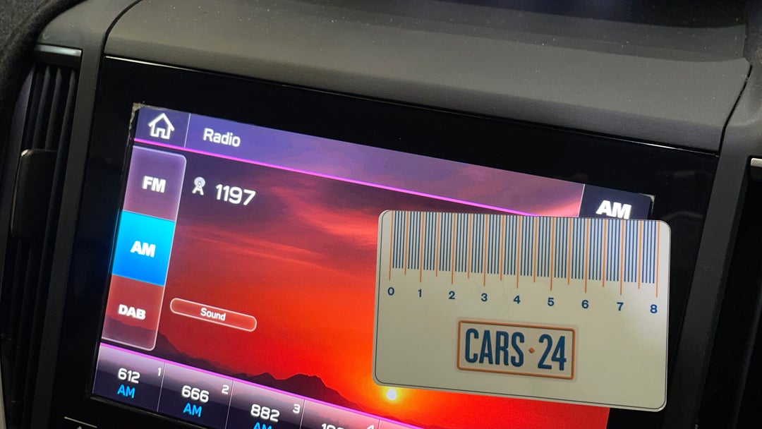 Infotainment System Face Plate Stain