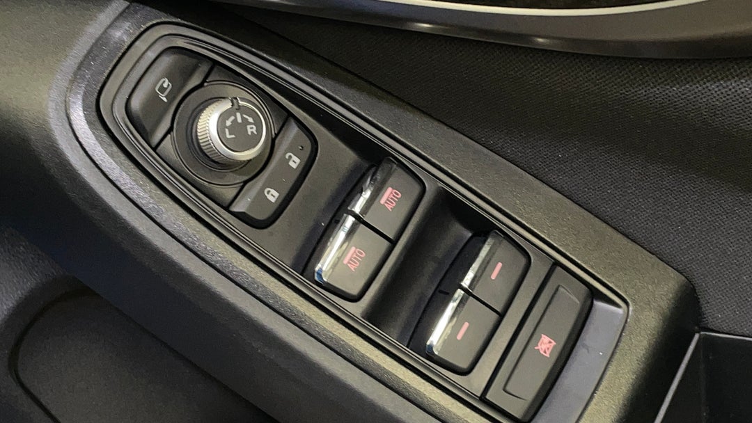 Drivers Side Door Panel Controls