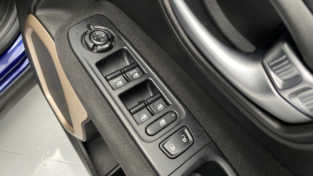 Drivers Side Door Panel Controls