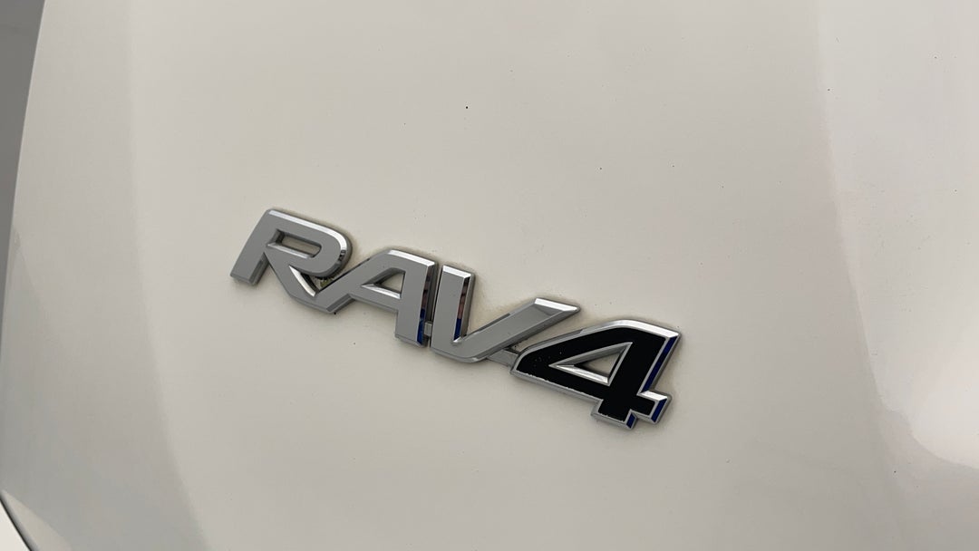 Badge (Boot Left Side)