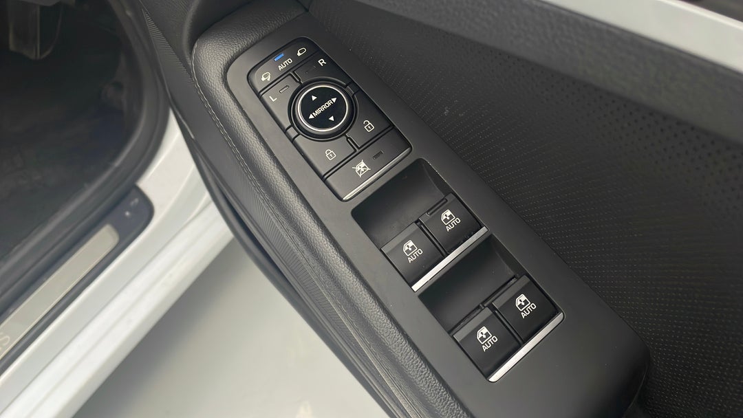 Drivers Side Door Panel Controls