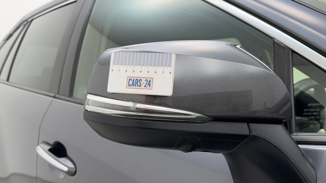 Side Mirrors Housing RHS Chip