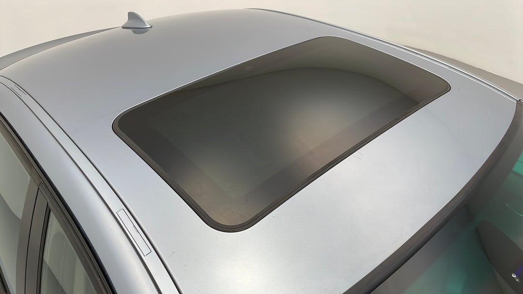 Roof/Sunroof View