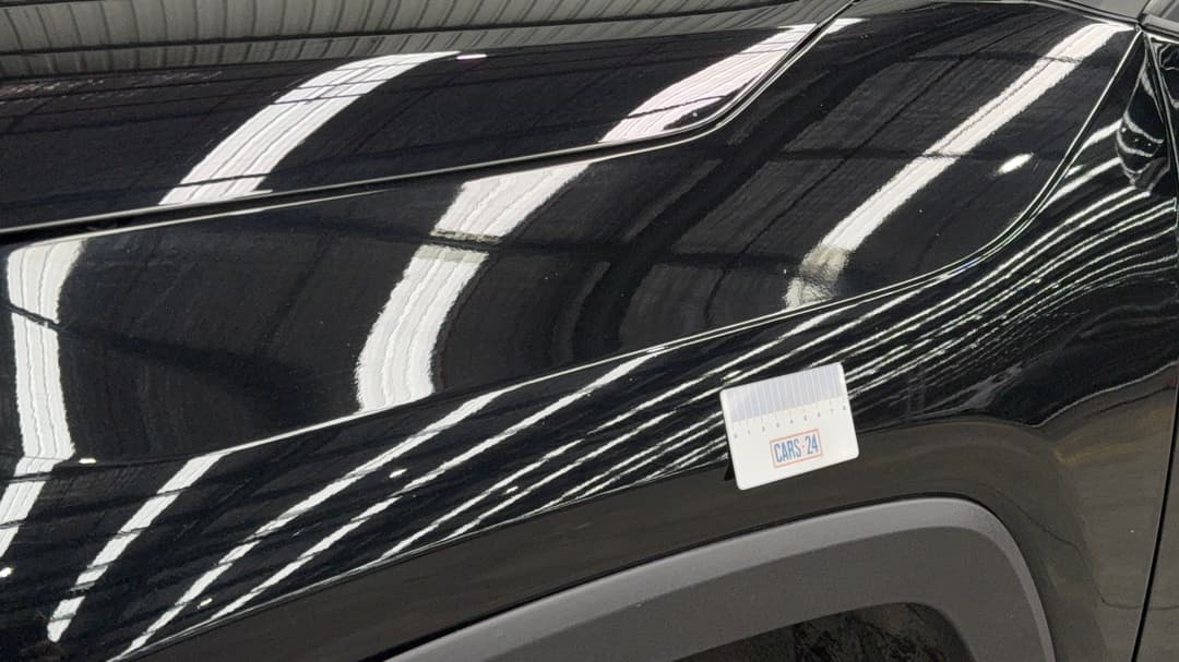 Quarter Panel Front LHS Guard Chip