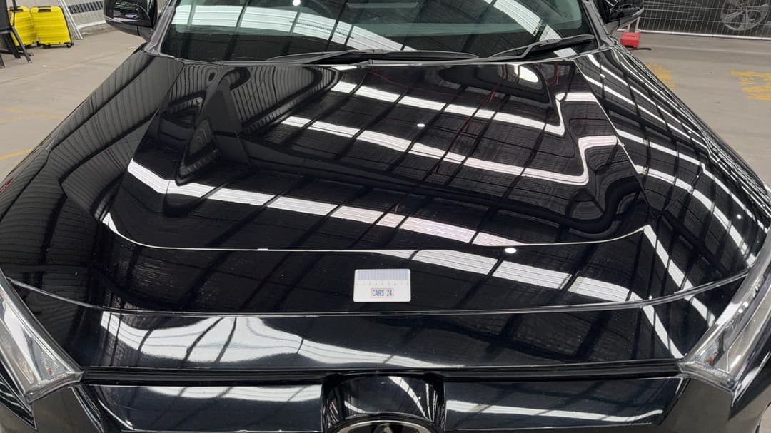 Bonnet Chip
