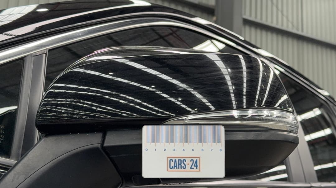 Side Mirrors Housing LHS Chip