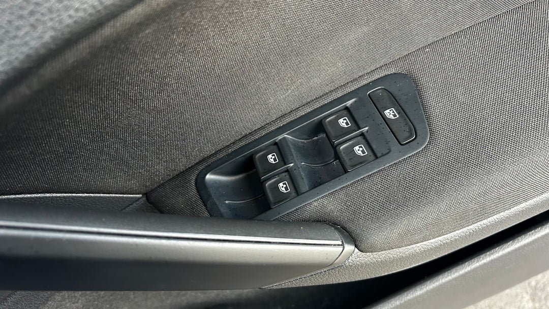 Drivers Side Door Panel Controls