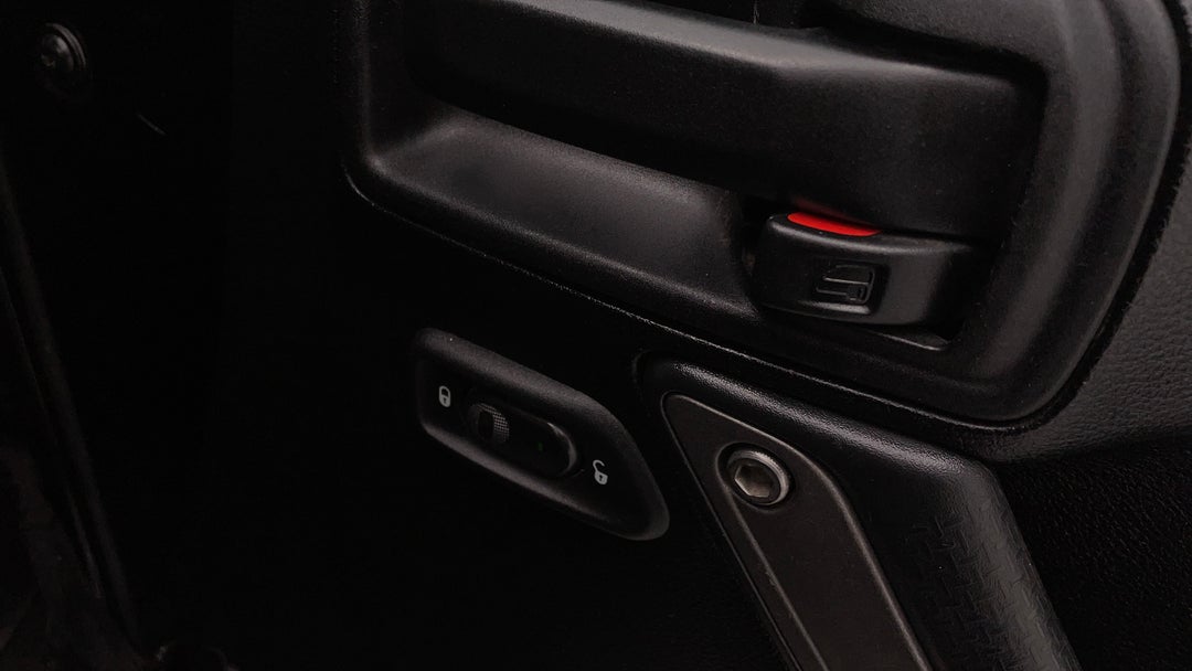 Drivers Side Door Panel Controls
