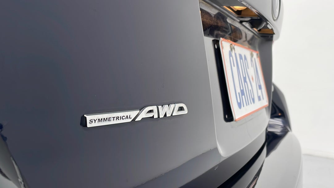 Badge (Boot Left Side)